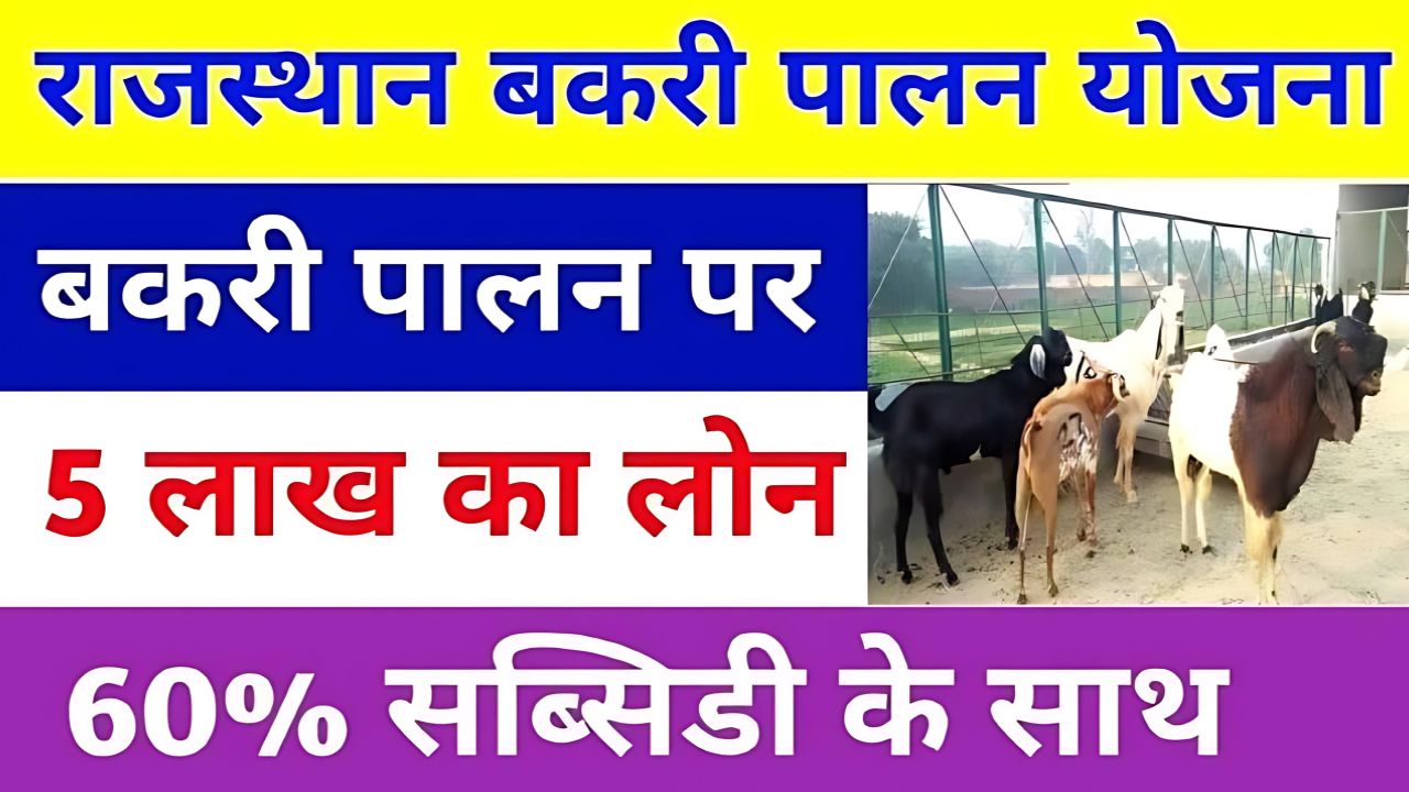 Rajasthan Bakri Palan Subsidy