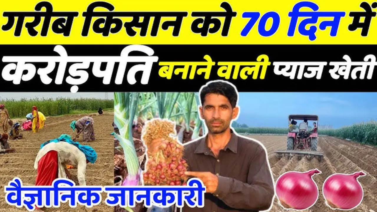 Make bumper income from onion cultivation at home